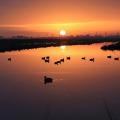 Vue sur Saint-Nazaire