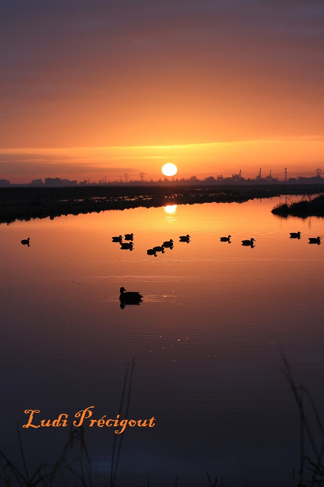 Vue sur Saint-Nazaire