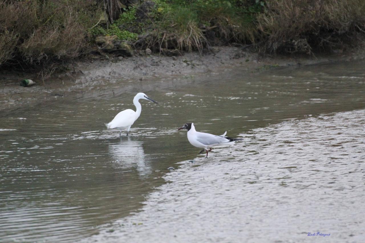 Pause entre amies ...