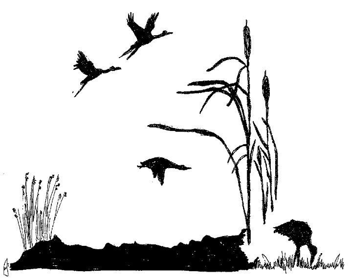 silhouettes