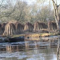 Les chaumets de St André des Eaux